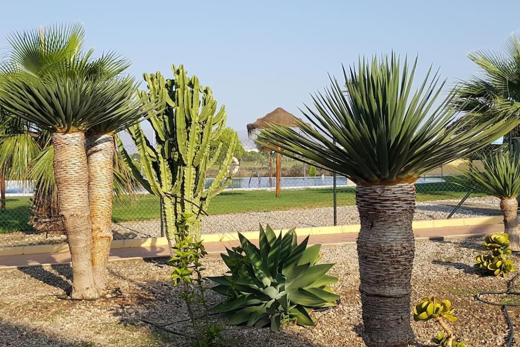 Apartments Sol De Almeria Golf Y Playa II Экстерьер фото